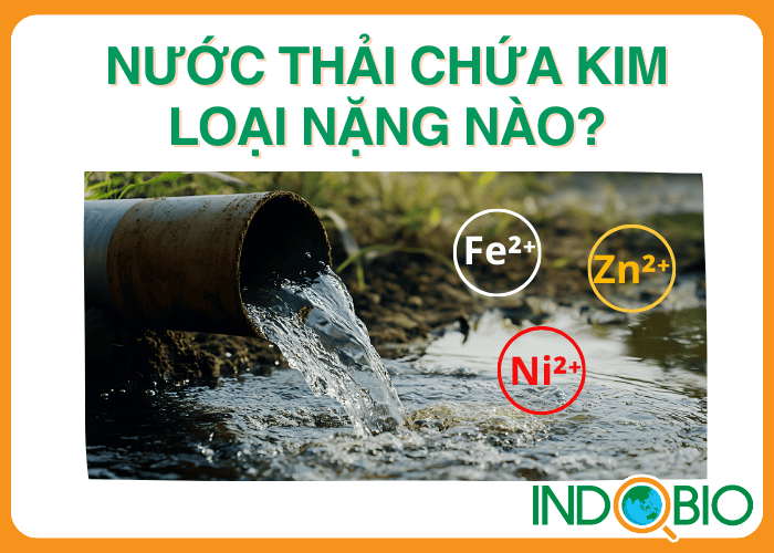 Nước thải công nghiệp thường chứa kim loại nặng nào?